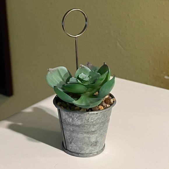 NEW mini artificial succulent in tin pail, photo holder - Picture 1 of 6